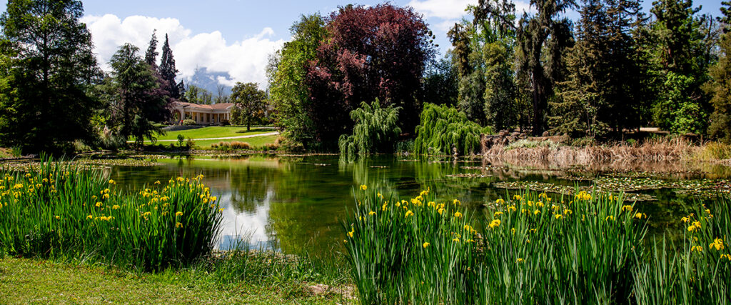 Beautiful Green Garden With A Pond