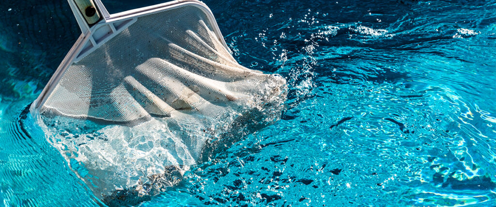 Pool Skimmer In The Pool Water