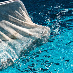 Pool Skimmer In The Pool Water