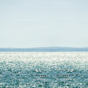 Windsurfer On The Water