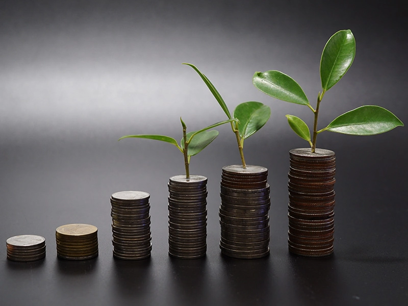 Funding Plants Growing From Coins